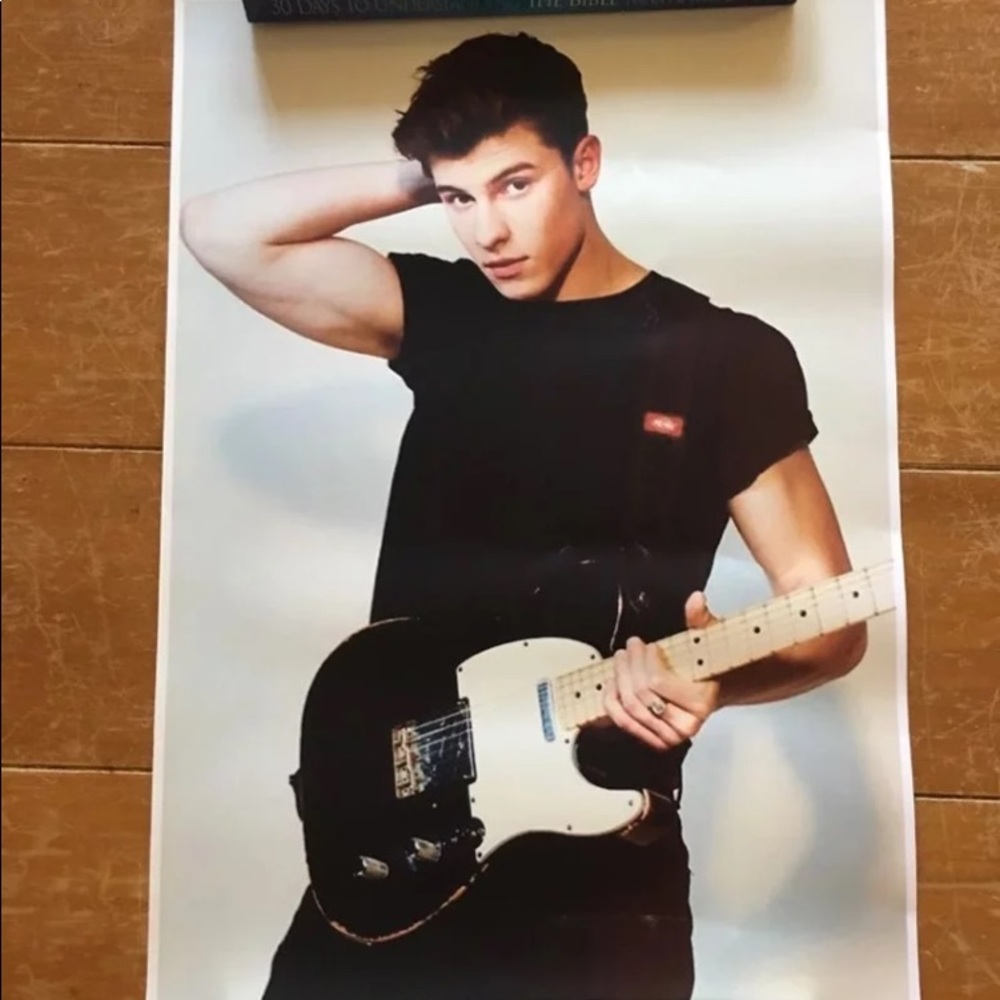 Shawn Mendes Poster